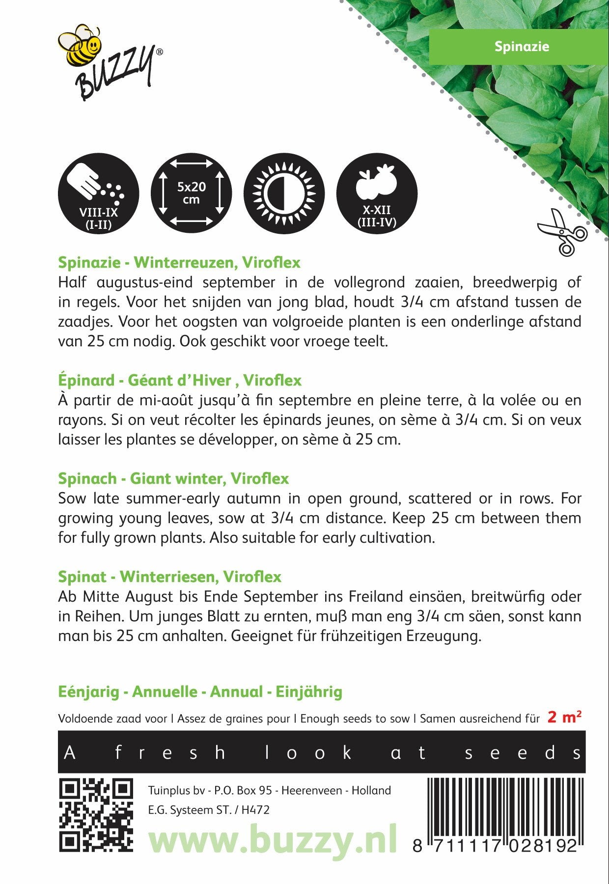 Spinat Winterreuzen, 25g - Samen