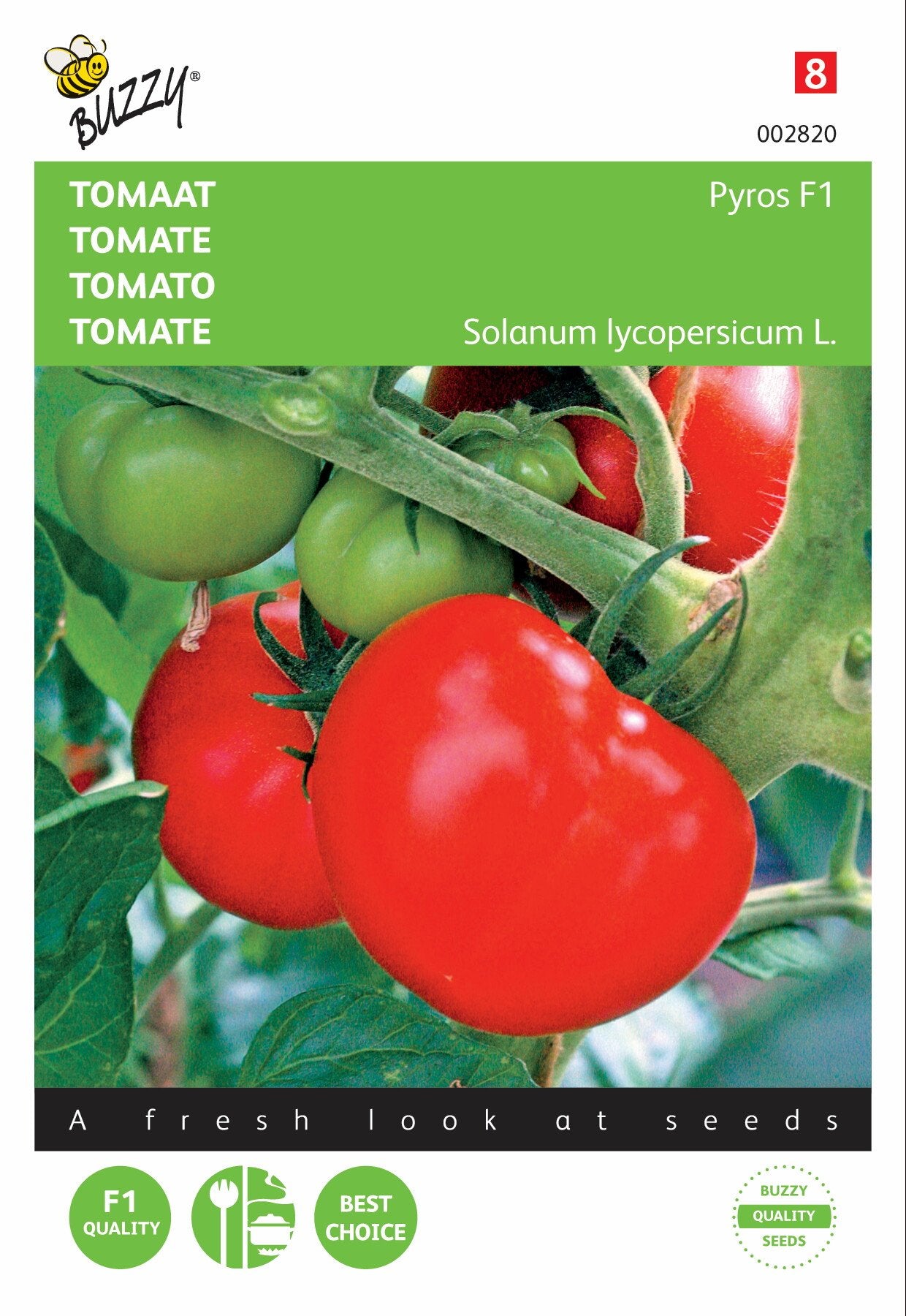 Tomate Pyros F1 - Samen