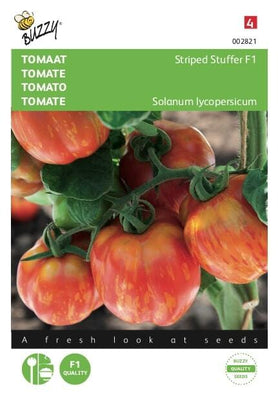 Tomaten gestreifter Füller F1