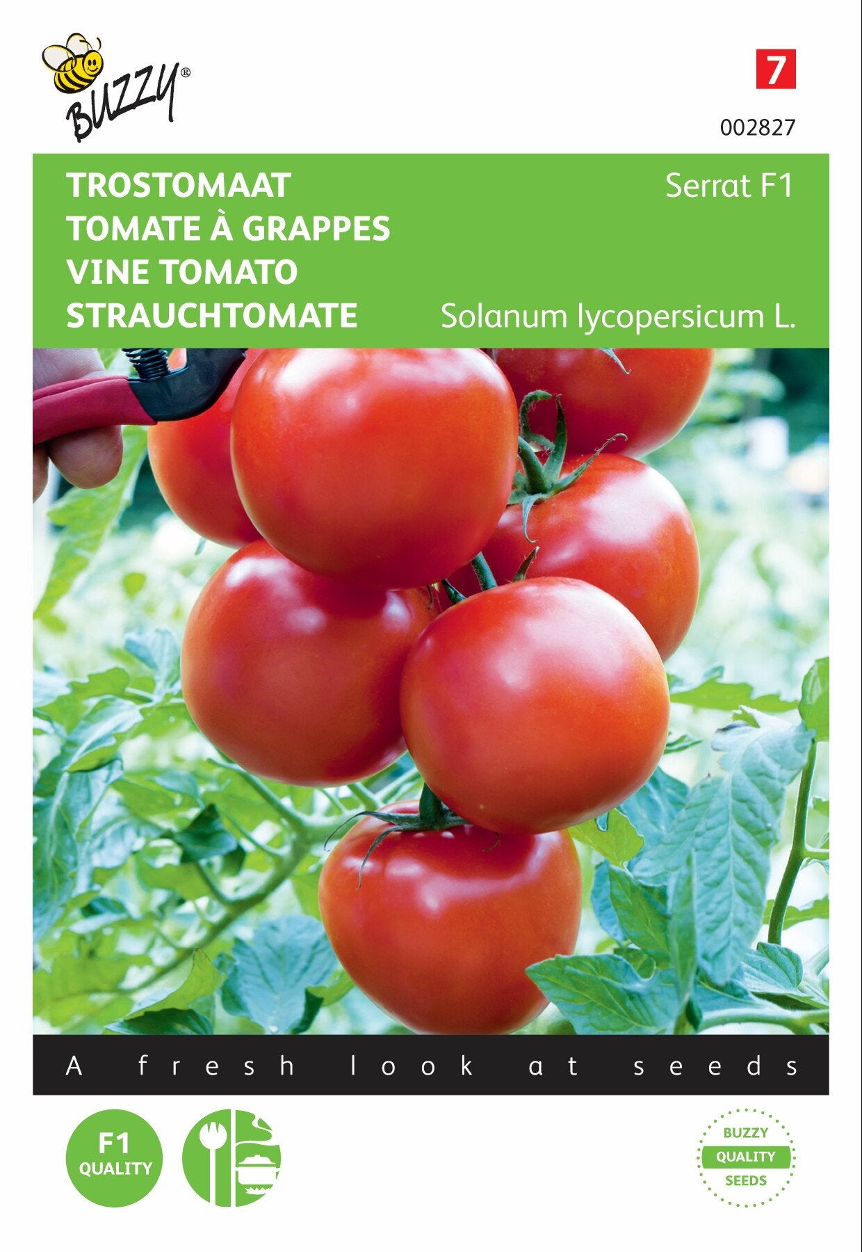 Trostomaat Serrat F1 - Zaden