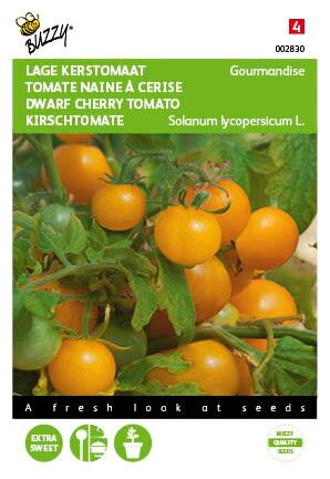 Tomaten Gourmandise (gele cherry patio) - Zaden
