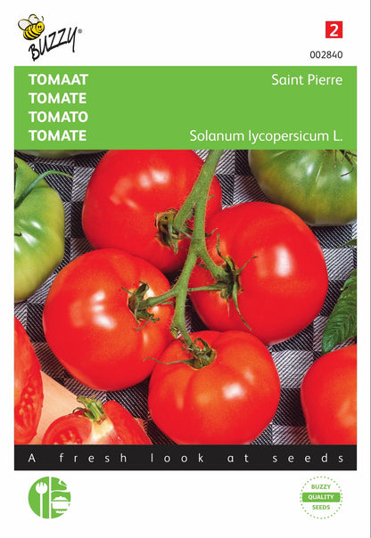 Tomate Saint Pierre, Große Freilandtomate - Samen