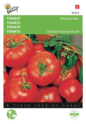 Tomaten-Geldmacher