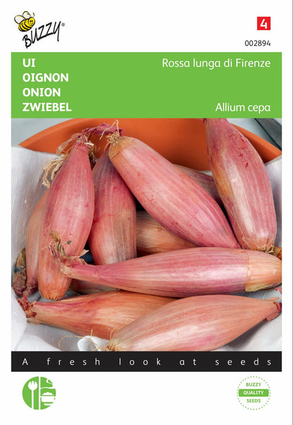 Ui Rossa lunga di Firenze - Zaden