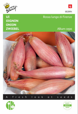 Ui Rossa lunga di Firenze