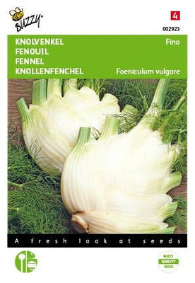 Fenchel (Zefa) Fino