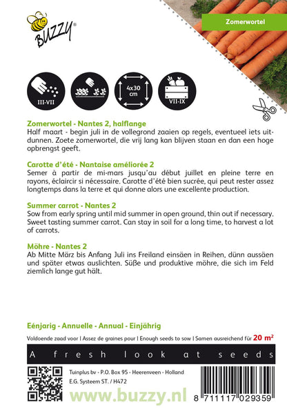 Sommerkarotte Nantes 2, halblang - Samen