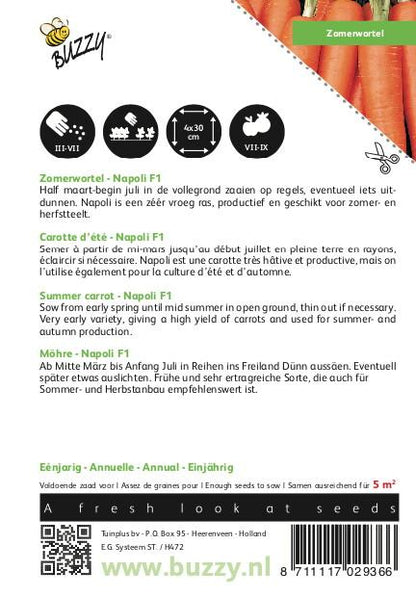 Zomerwortel Napoli F1 - Zaden