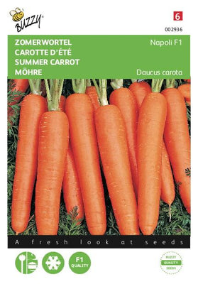 Sommerkarotte Napoli F1