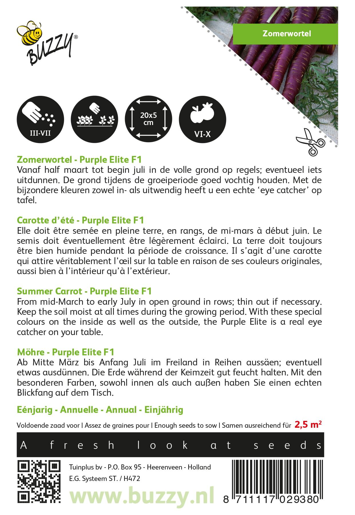 Möhren Purple Elite F1 - Samen