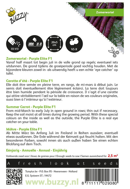 Möhren Purple Elite F1 - Samen