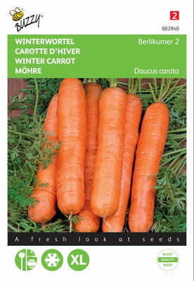 Winterkarotte Berlikumer 2