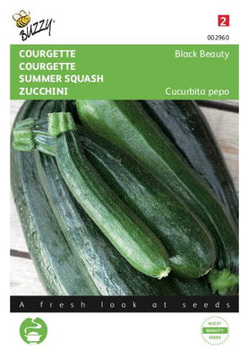 Zucchini Black Beauty - Verte De Milan