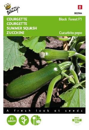 Zucchini Kletternd Black Forest F1 - Samen