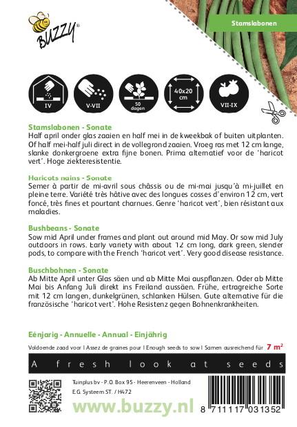 Stamslabonen Sonate - Zaden