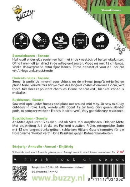 Stamslabonen Sonate - Zaden