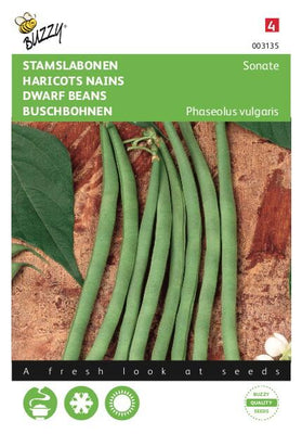 Sonate der Stangenbohne