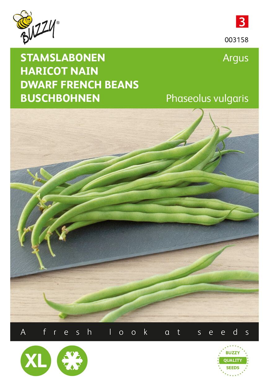 Stamslabonen Haricot Vert Argus - Zaden