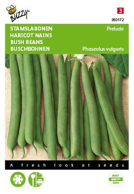 Vorspiel zu den Stangenbohnen