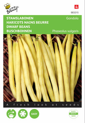 Gondelbohnen
