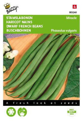 Chinesisches Bohnenwunder