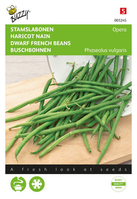Opernbohnen (Gourmetbohnen)