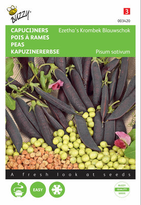 Kapuzineraffe Ezethas Krummschnabel Blauer Schock