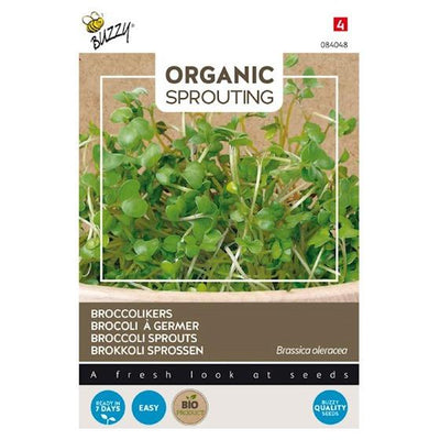 Brokkoli-Kirschsprossen (Bio)