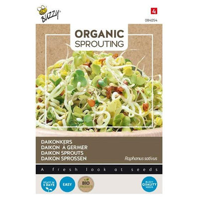 Keimende Daikonker (BIO)