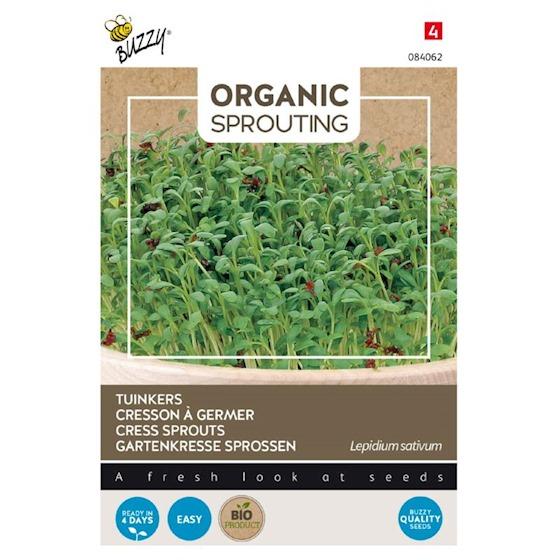 Gartenkresse (BIO) - Samen