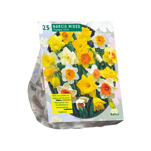 Narcis Trompet, Mix - 20 stuks - Bloembollen