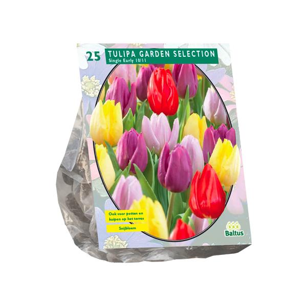 Tulipa Garden Selection - 25 stuks - Bloembollen