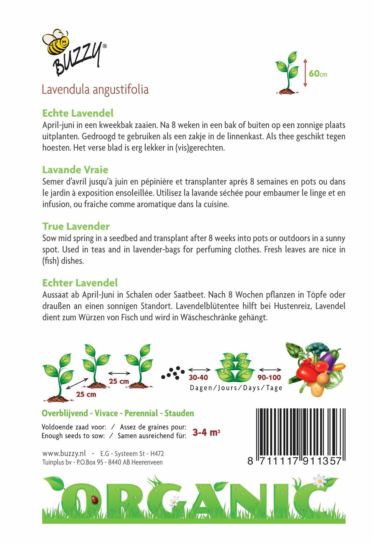 Echter Lavendel (BIO) - Samen