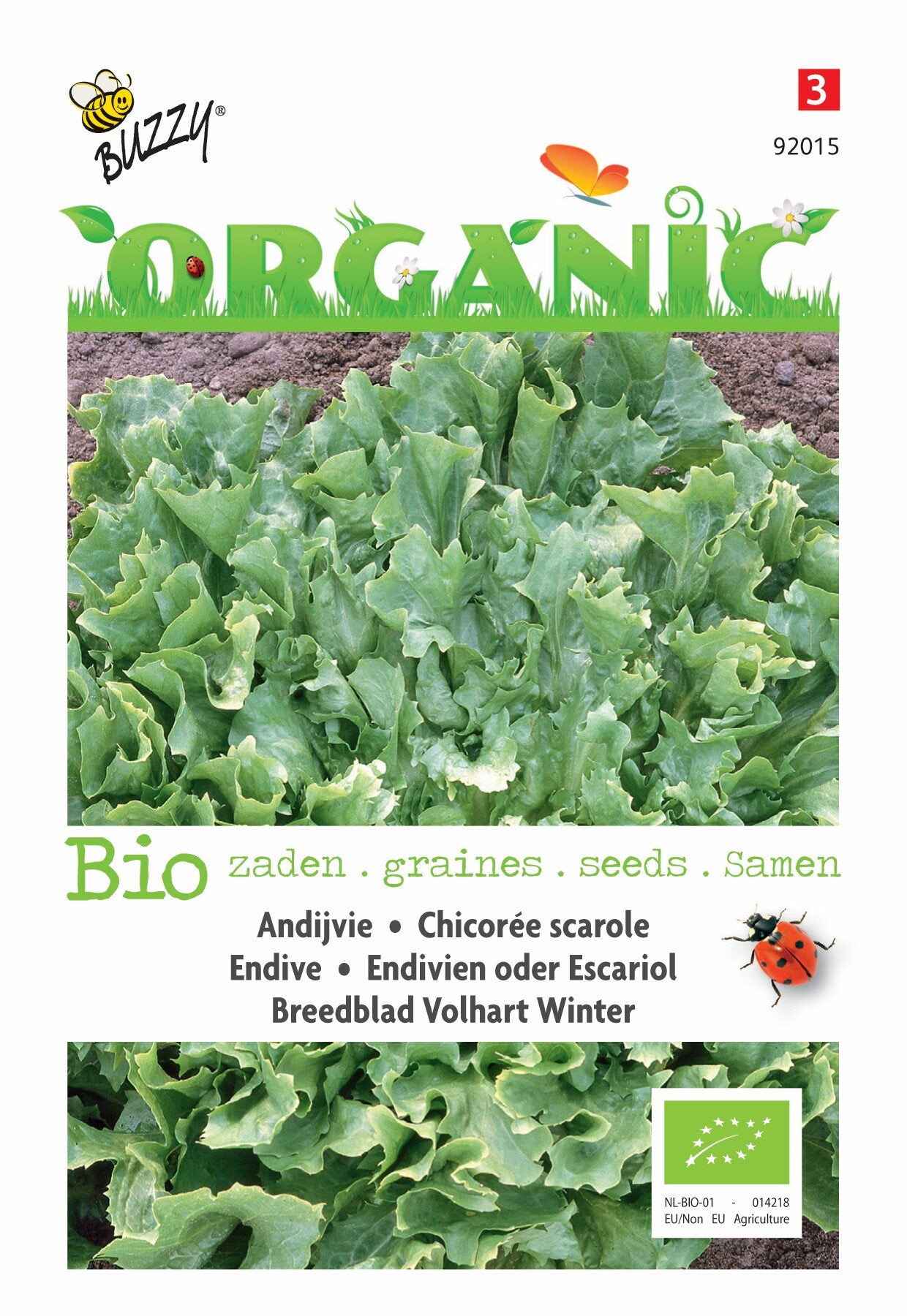 Andijvie Breedblad Volhart Winter (BIO) - Zaden