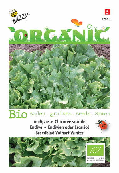 Andijvie Breedblad Volhart Winter (BIO) - Zaden