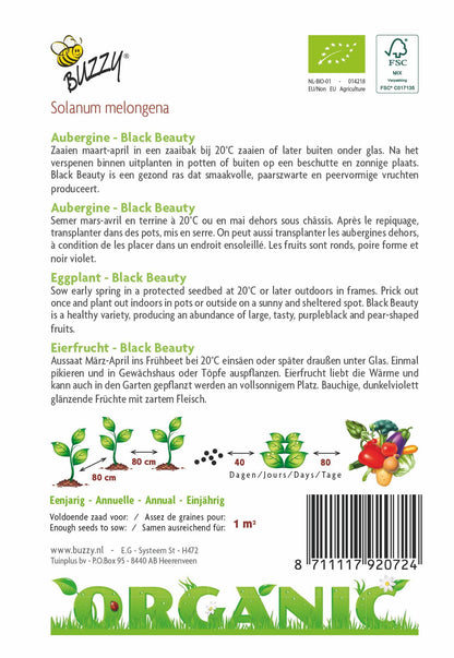 Aubergine Black Beauty (BIO) - Zaden