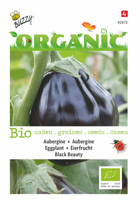 Aubergine Black Beauty (BIO)