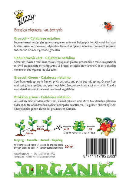 Broccoli Calabrese natalino (BIO) - Zaden
