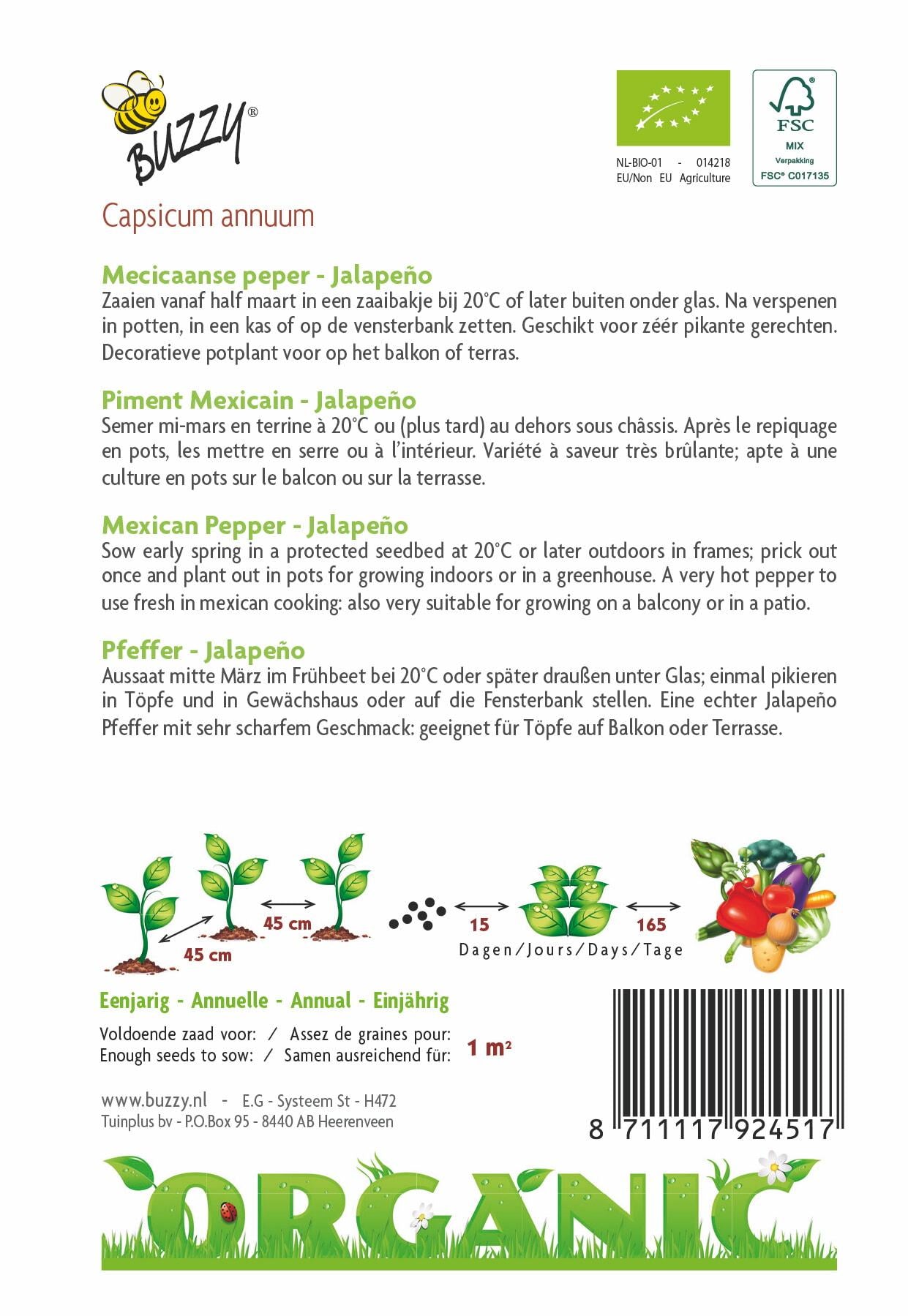 Peper Jalapeno (BIO) - Zaden