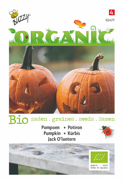 Kürbis Jack O'Lantern (BIO) - Samen