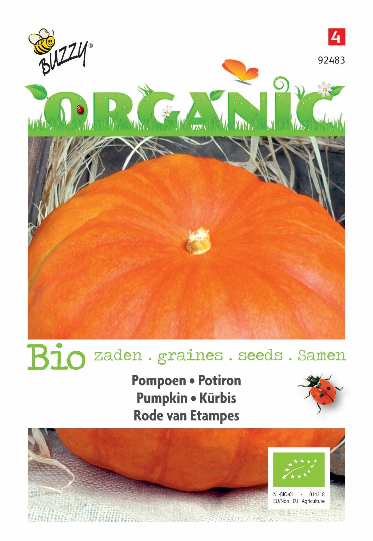 Pompoen Rouge Vif d'Etampes (BIO) - Samen