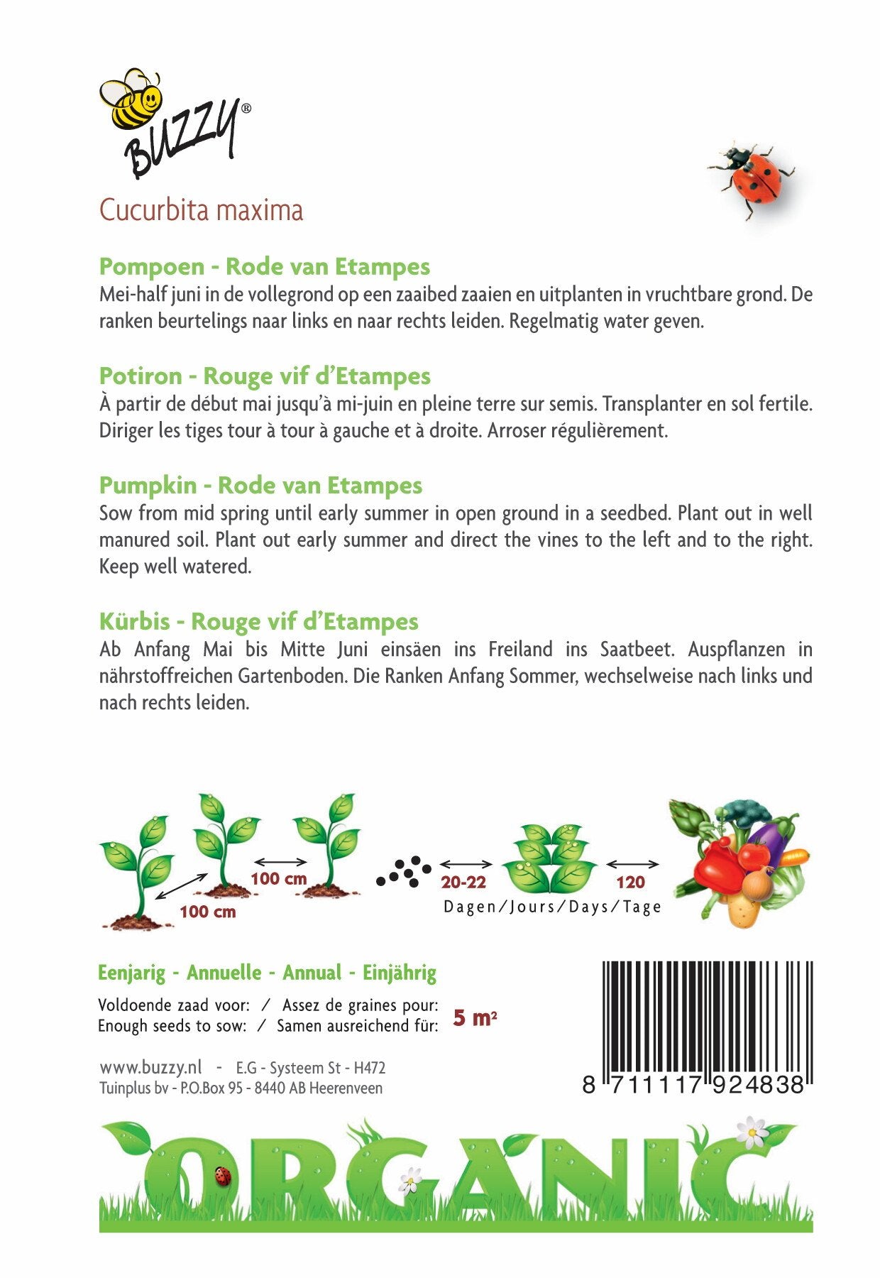 Kürbis Rouge Vif d'Etampes (BIO) - Samen