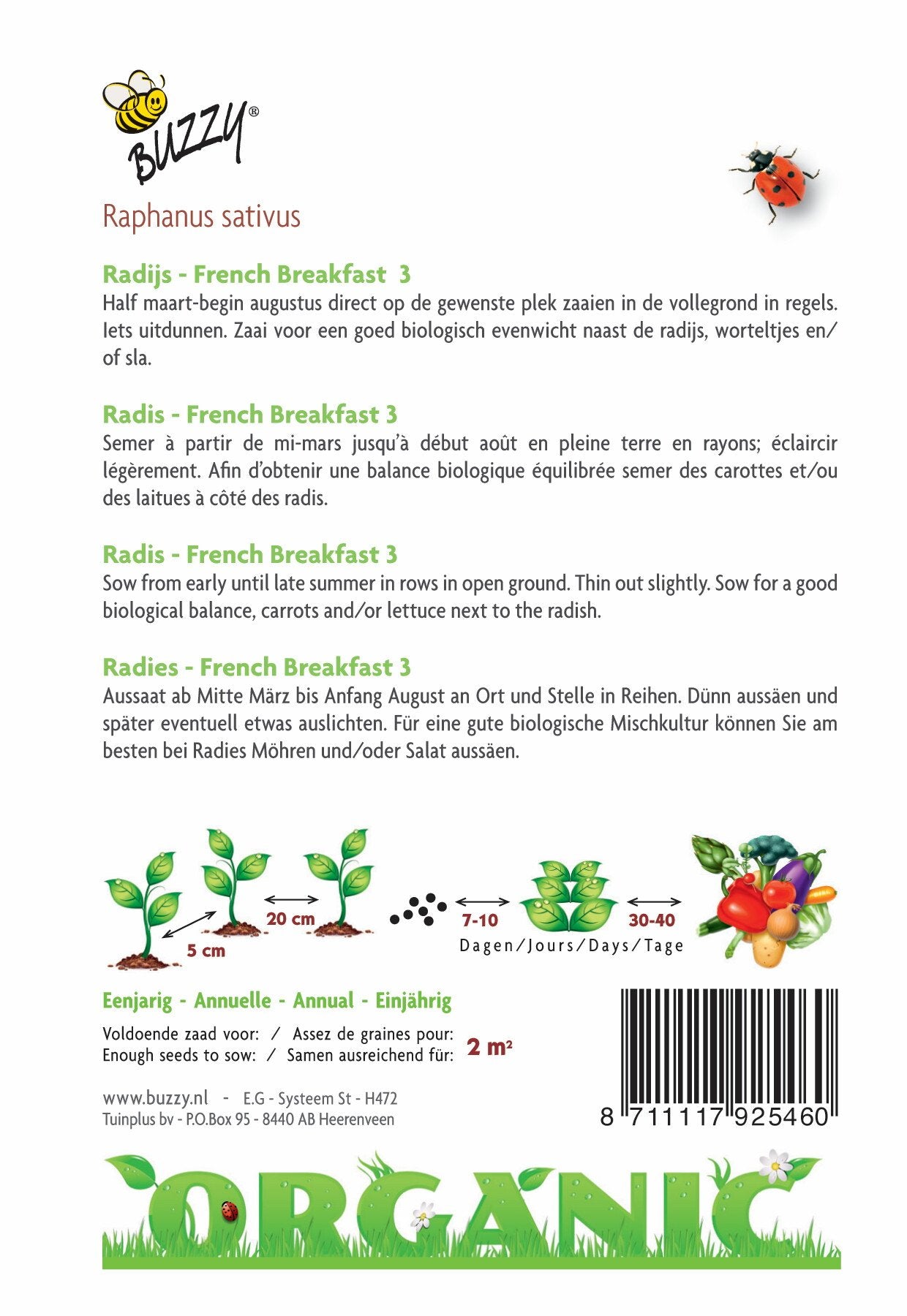 Radieschen French Breakfast 3 (BIO) - Samen