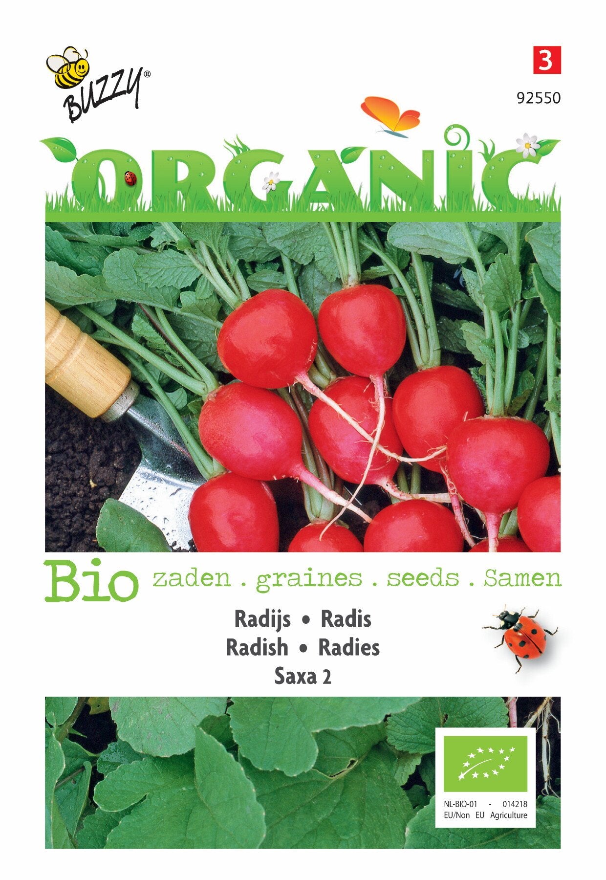 Radieschen Saxa 2 (BIO) - Samen