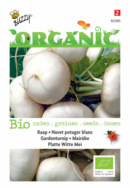 Raap Platte Witte Mei (BIO) - Samen