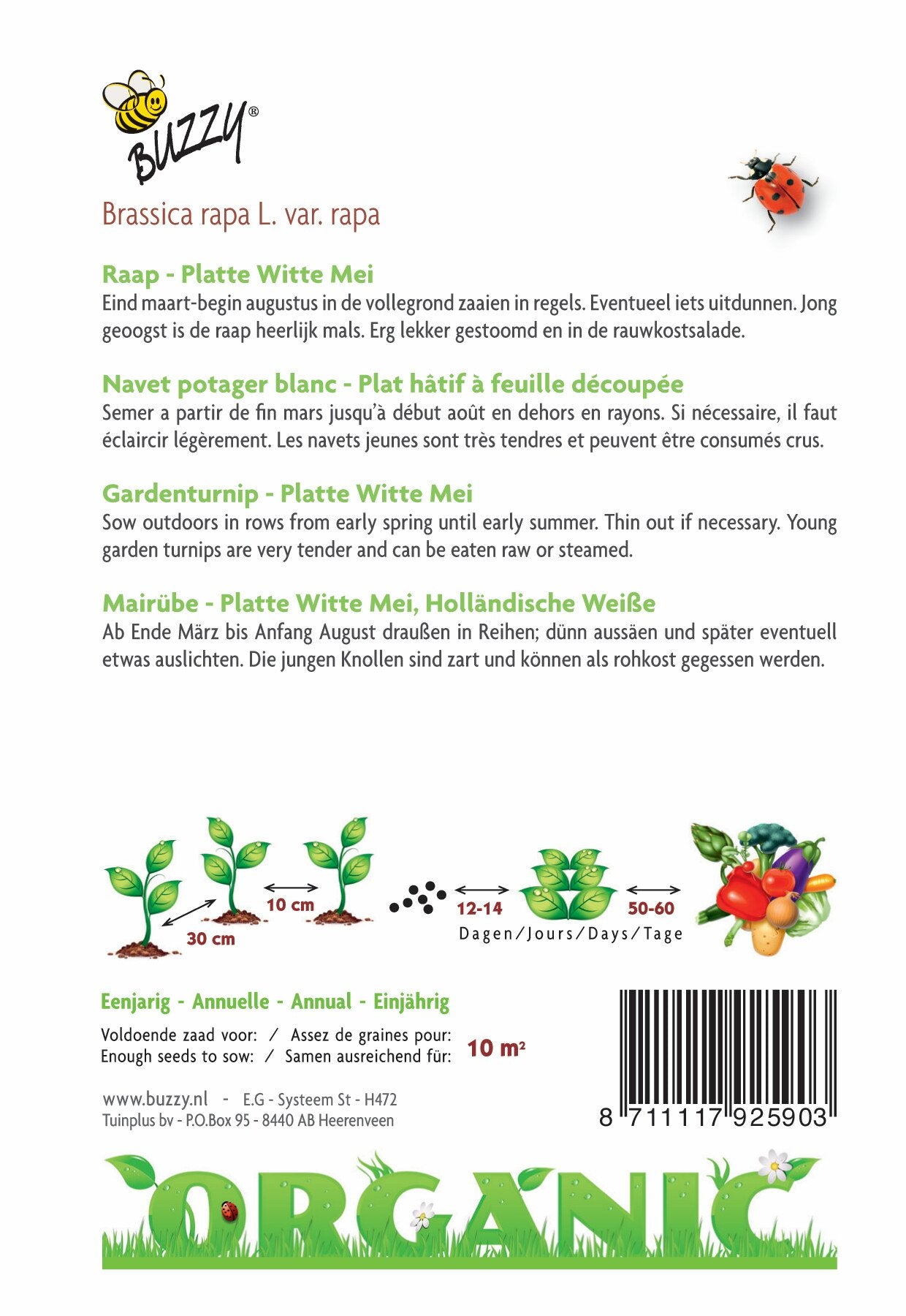Raap Platte Witte Mei (BIO) - Samen