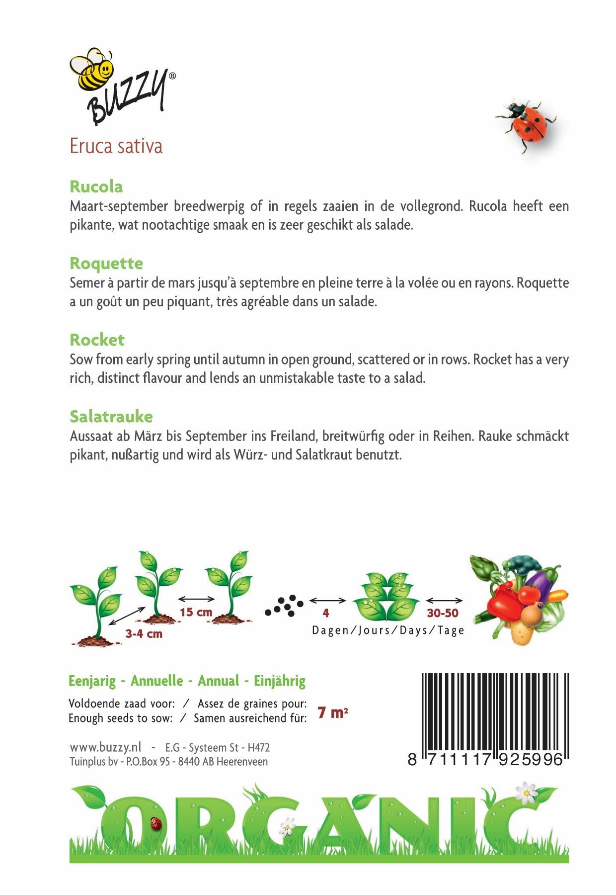 Rucola (BIO) - Samen