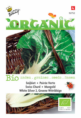 Swiss Chard White Silver 2 (BIO)