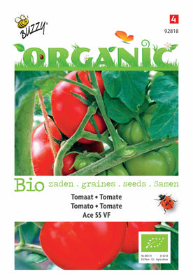 Tomaten Ace 55 VF (BIO)