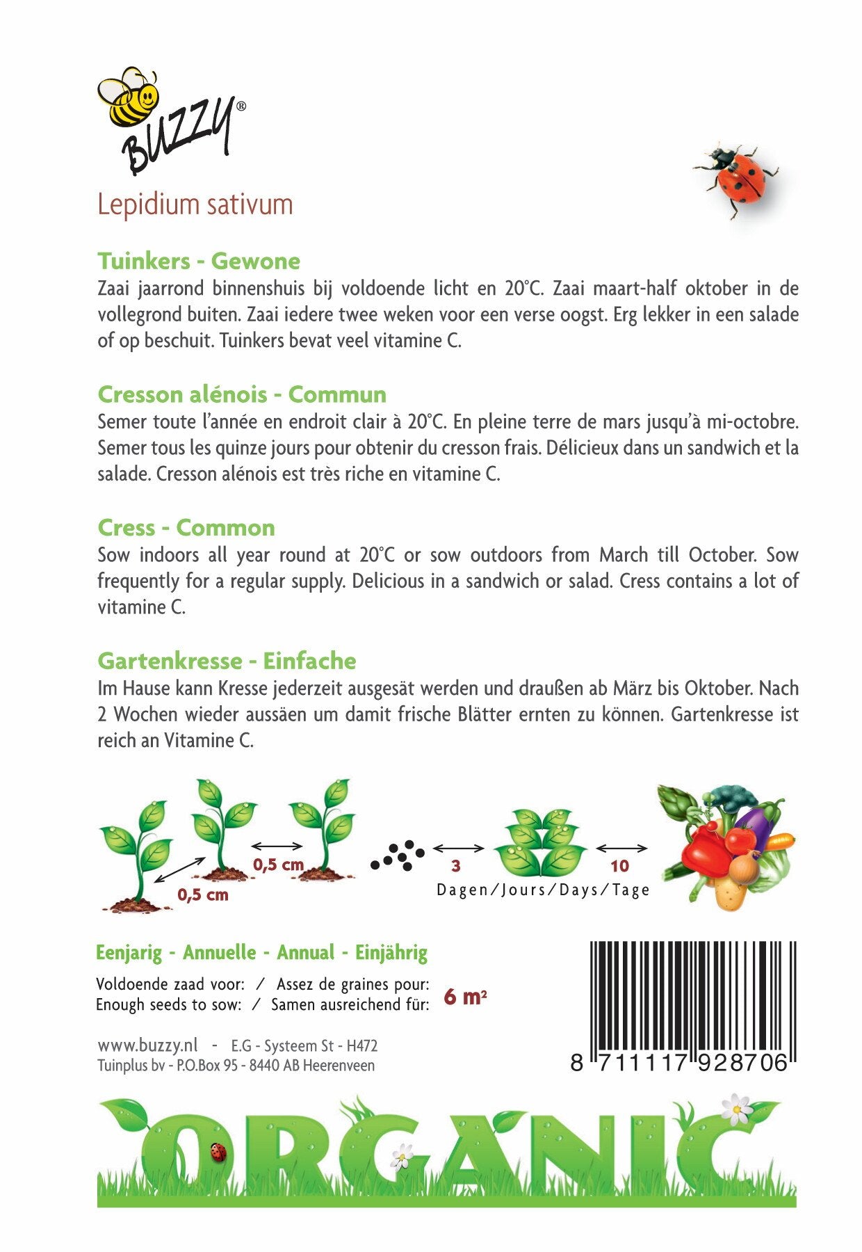 Gartenkresse (BIO) - Samen